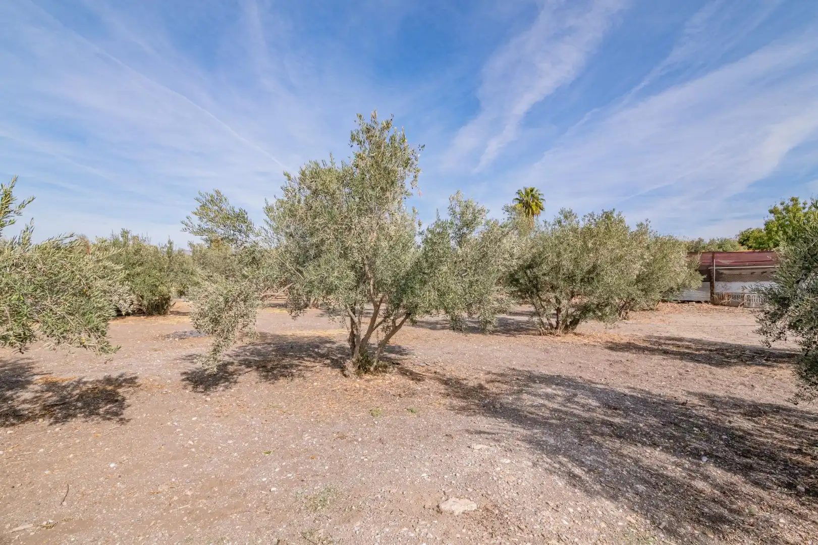 Finca rústica en venta en La Zubia