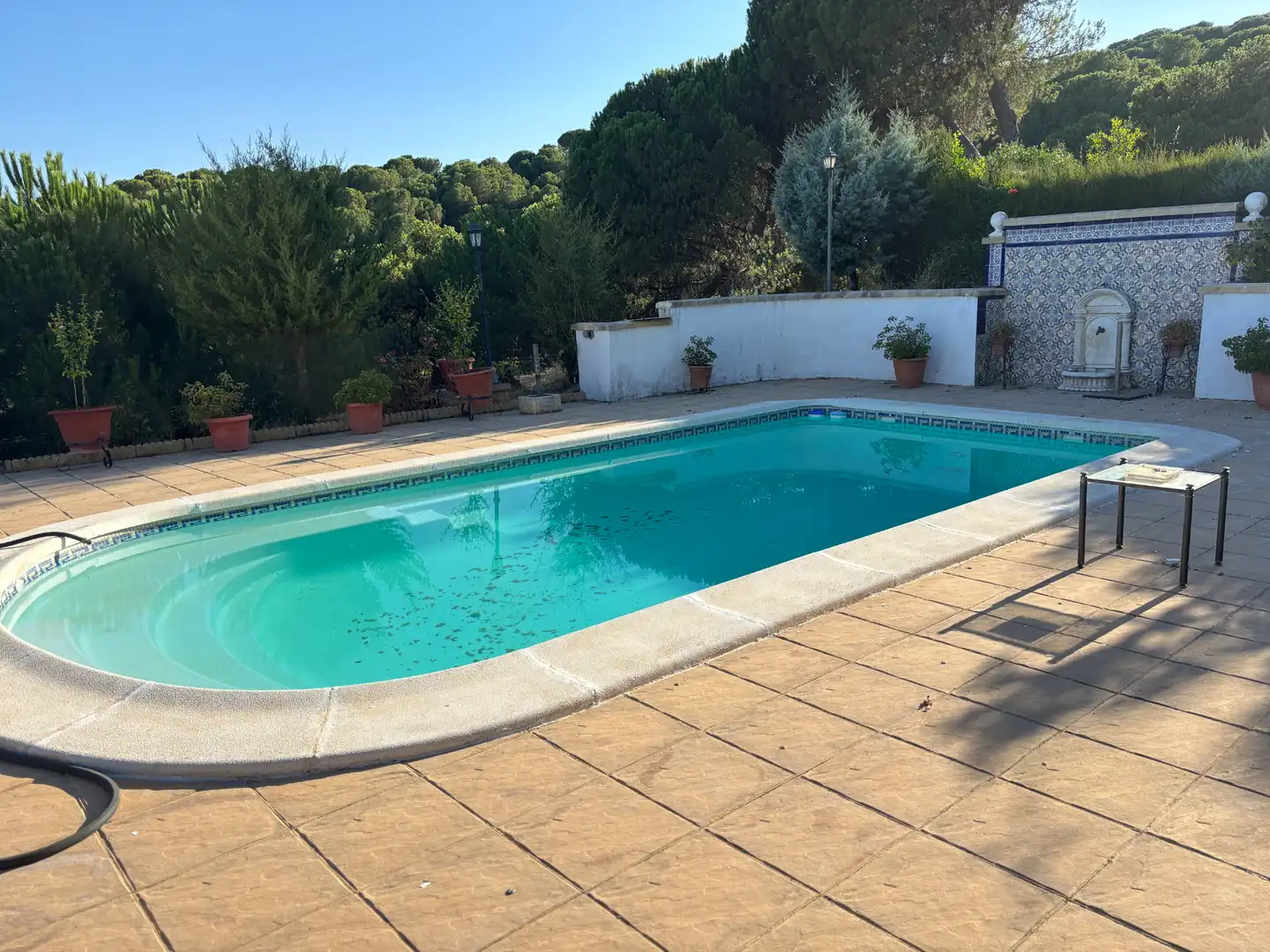 Piscina de Finca rústica en venta en Andújar con Aire acondicionado, Jardín privado y Piscina
