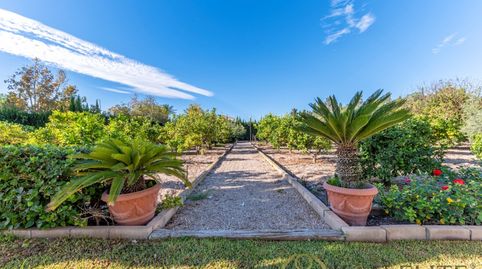 Foto 3 de Casa o xalet en venda a Camino Cipres, Alicante Golf, Alicante / Alacant