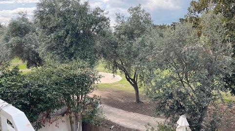 Photo 5 of Flat for rent in Carrer Britania, Alicante Golf, Alicante / Alacant