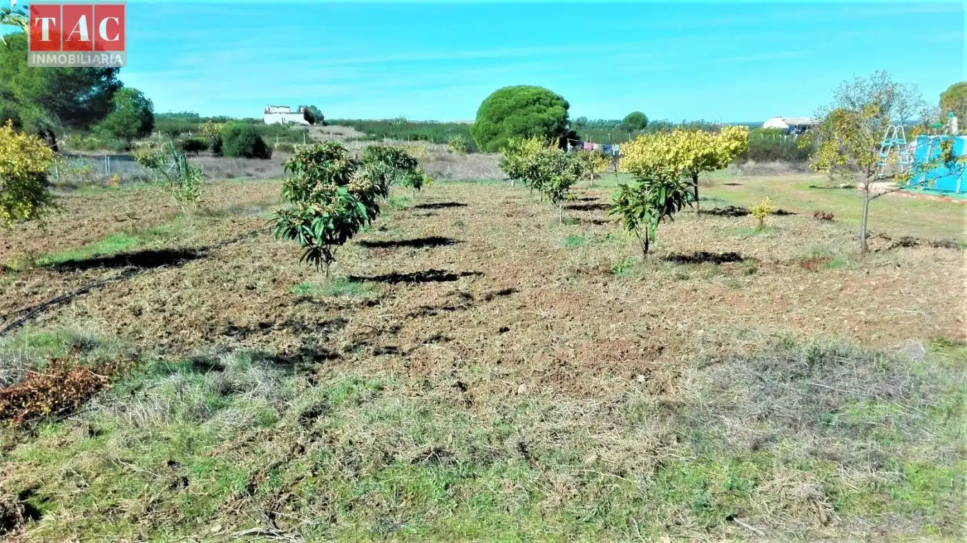 Casa rústica amb jardí en venda a Lepe, imagen 3