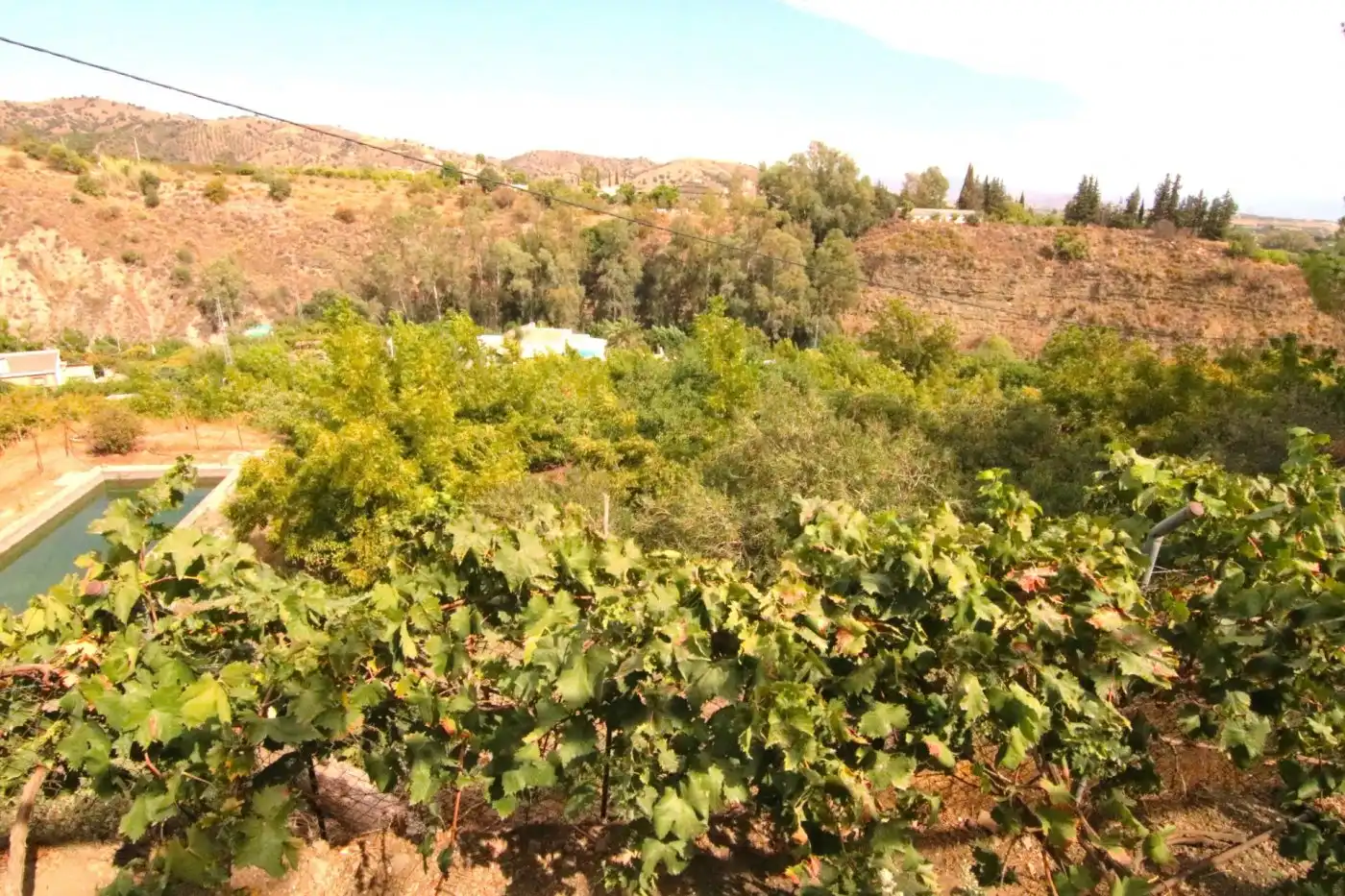 Vista exterior de Casa o xalet en venda en Tolox amb Terrassa, Traster i Moblat