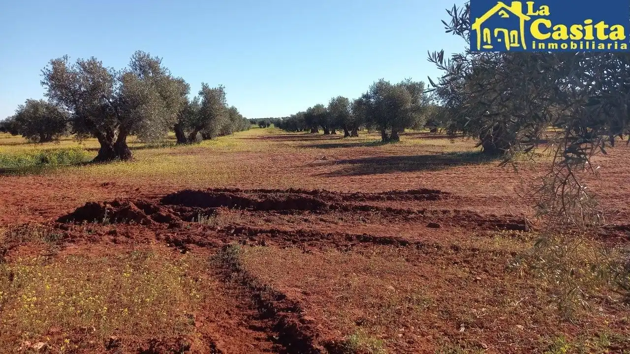 Terrenys i solars en venda a Almagro