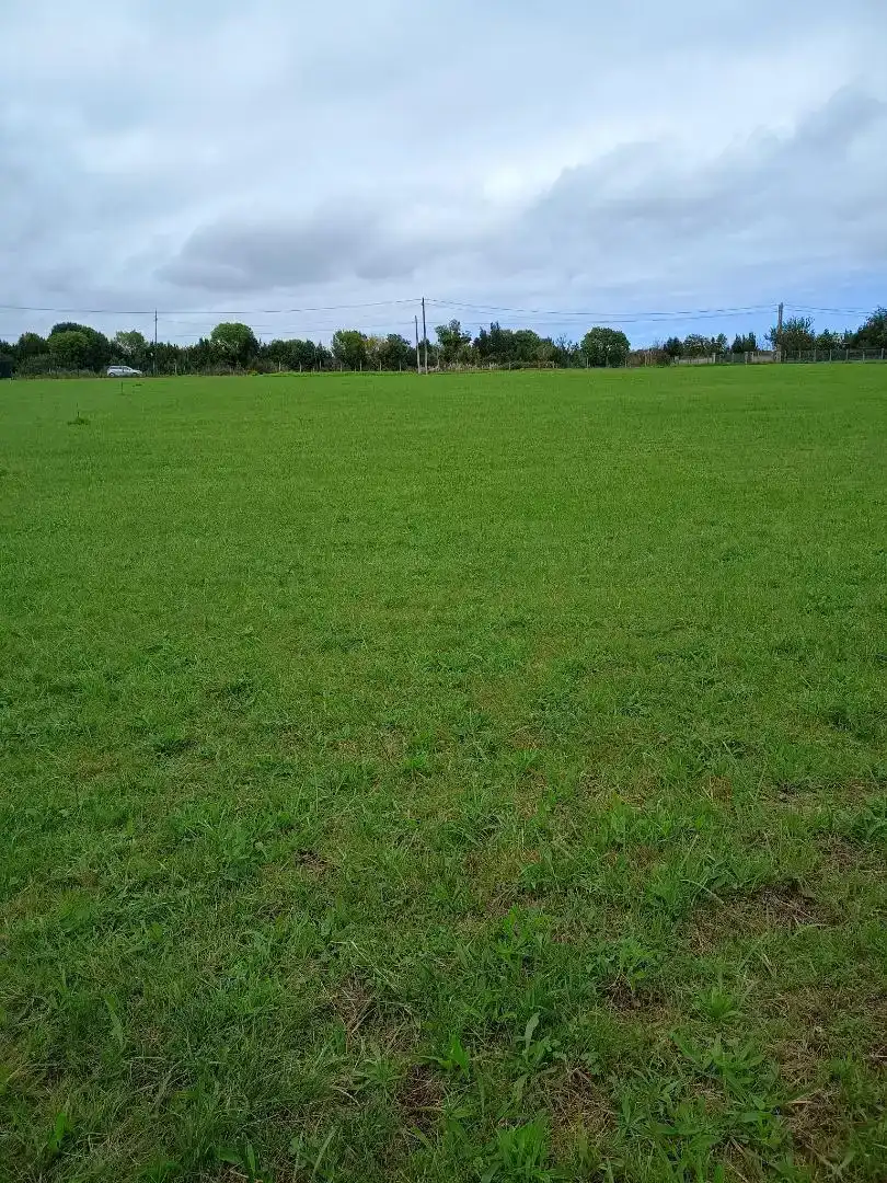 Finca rústica en venta en Gijón 