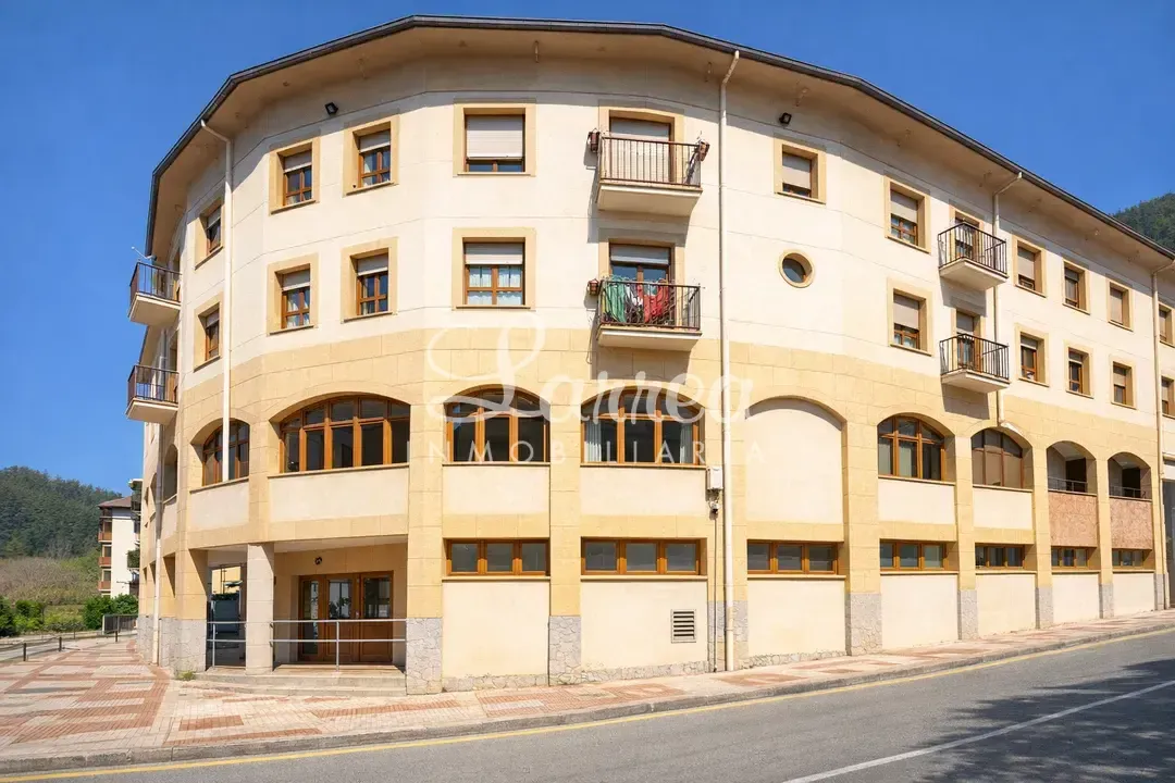 Exterior view of Premises for sale in Gabiria