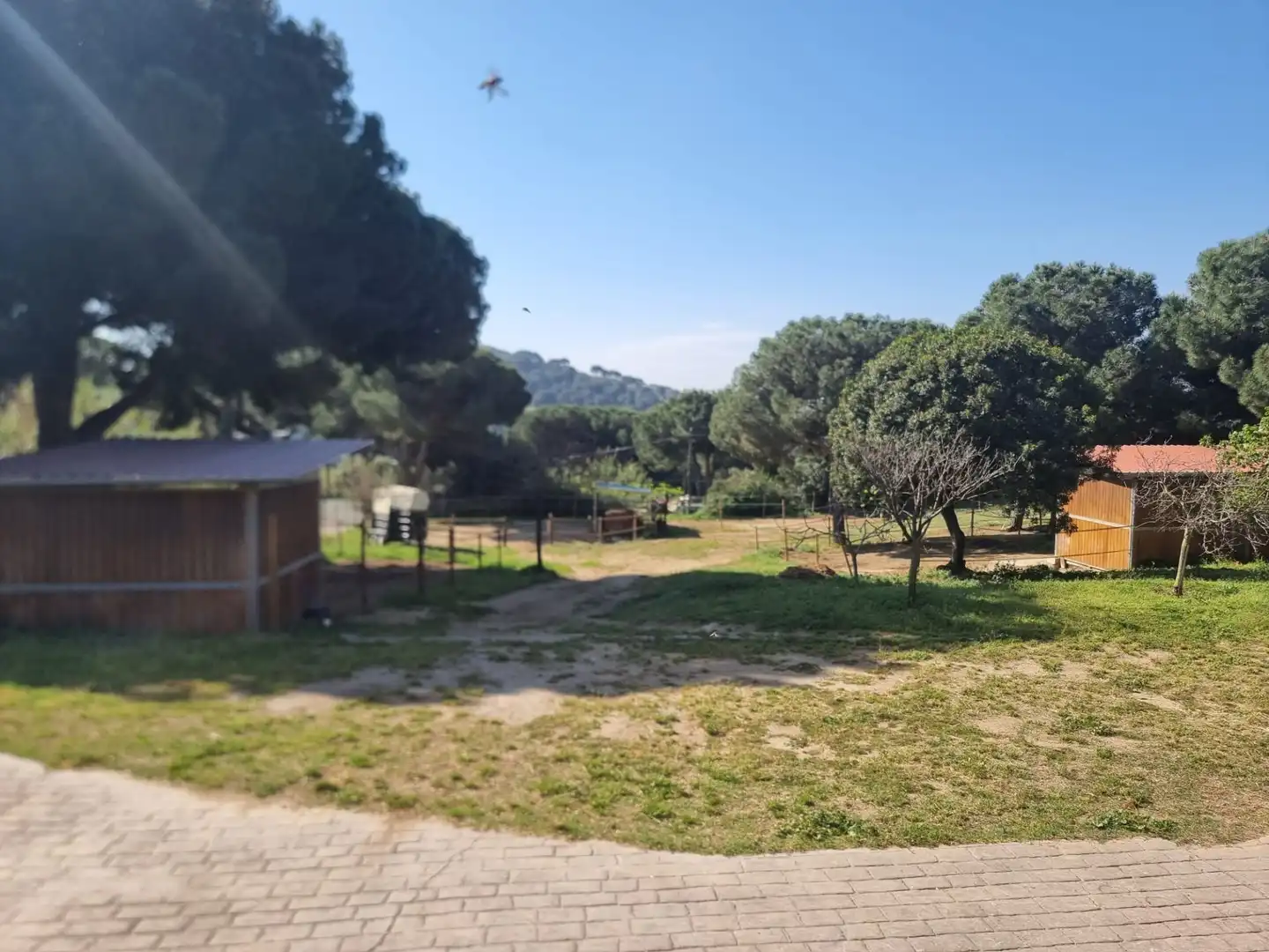 Casa o xalet en venda a Argentona Est
