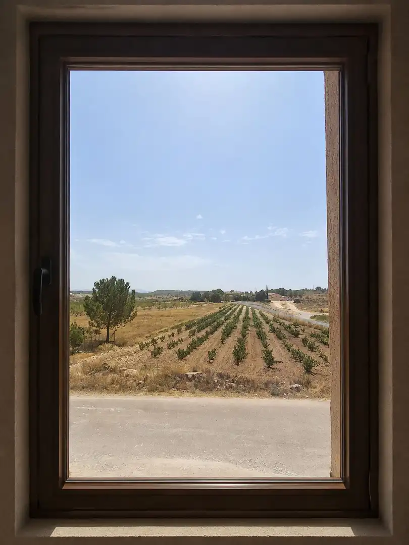 Landhaus zum Verkauf in El Pinós / Pinoso, imagen 18