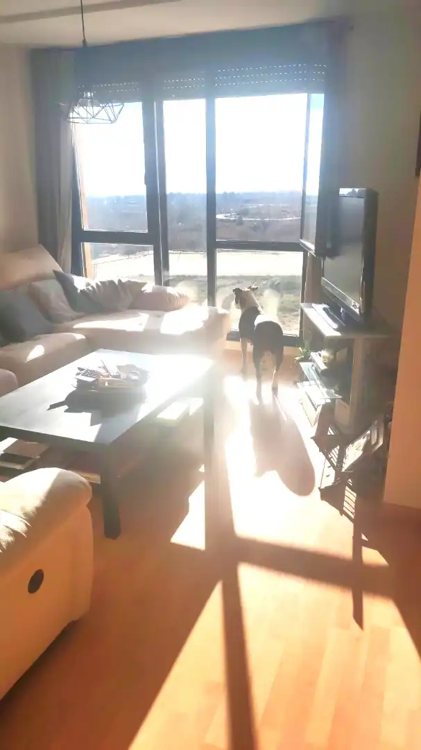Sala de estar de Piso en venta en Garrafe de Torío con Calefacción, Parquet y Alarma