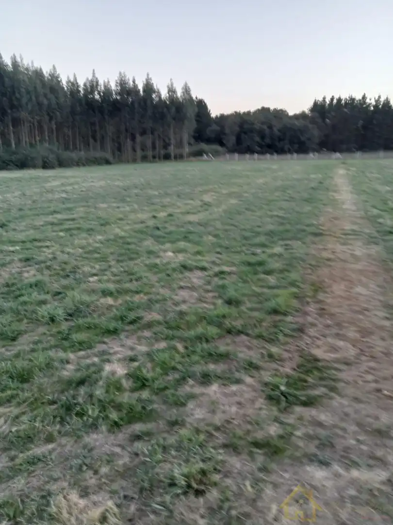 Terreni e lotti in vendita a Parroquias del Este, imagen 7