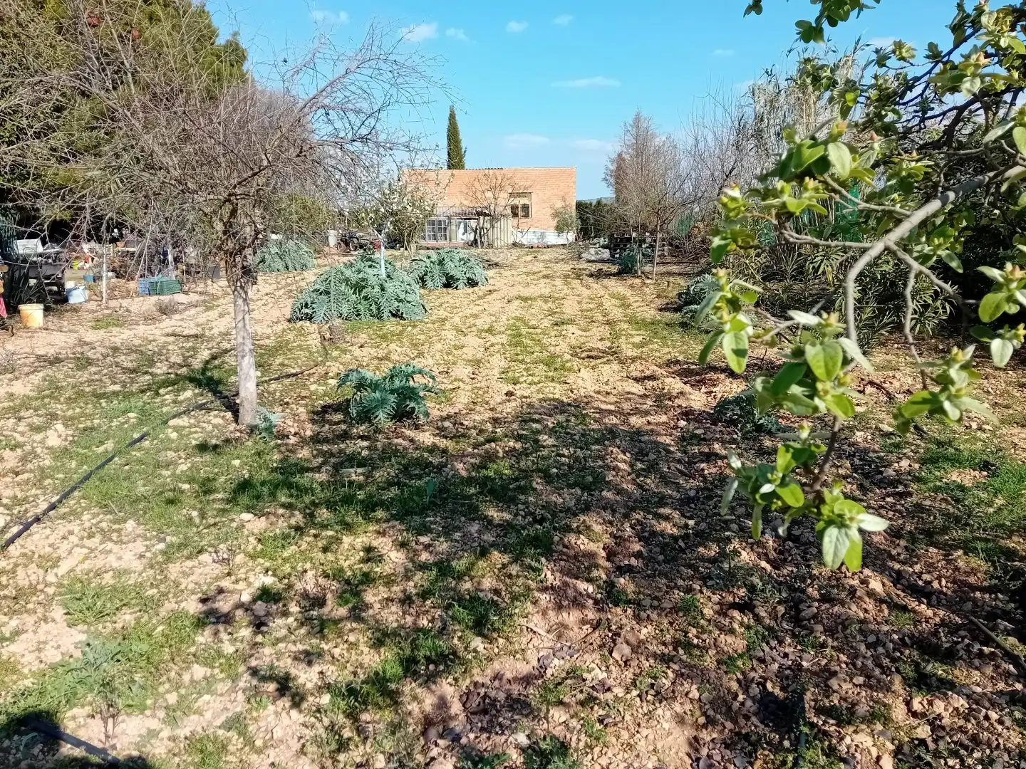 Casa o chalet en venta en Bolaños de Calatrava con Terraza, Trastero y Amueblado
