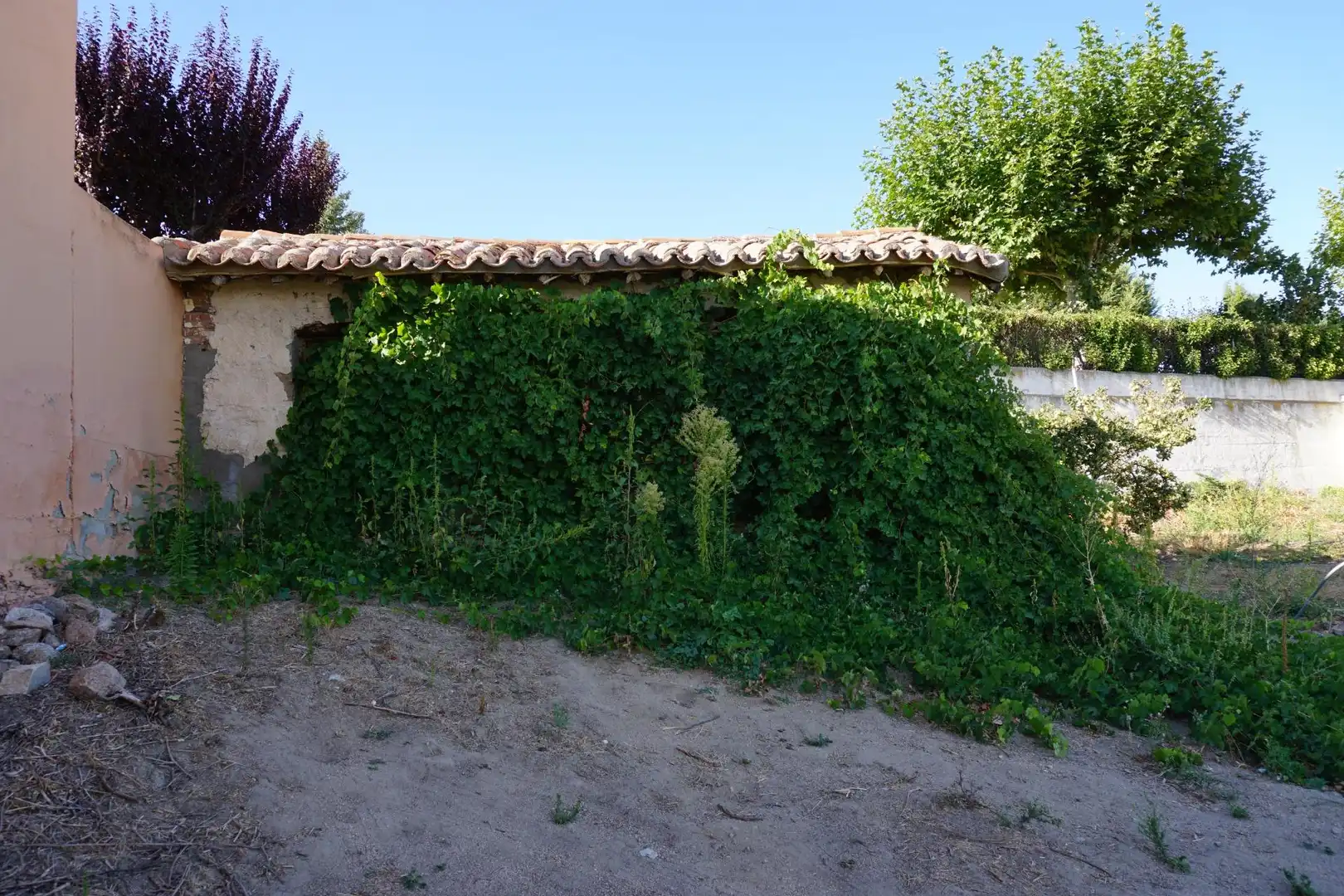 Jardín de Residencial en venta en Muñana