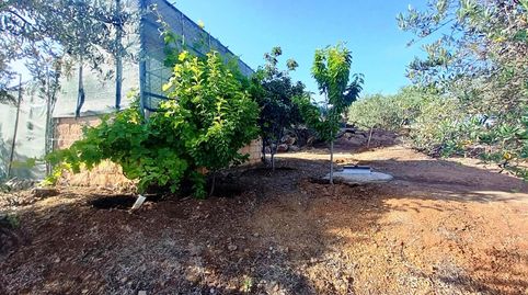 Foto 2 de Finca rústica en venda a El Pedroso, Sevilla