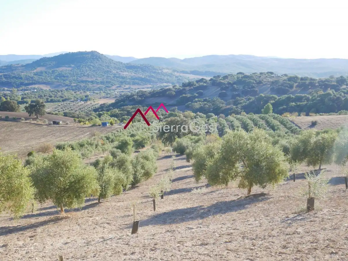 Terreny residencial en venda a Prado del Rey, imagen 10