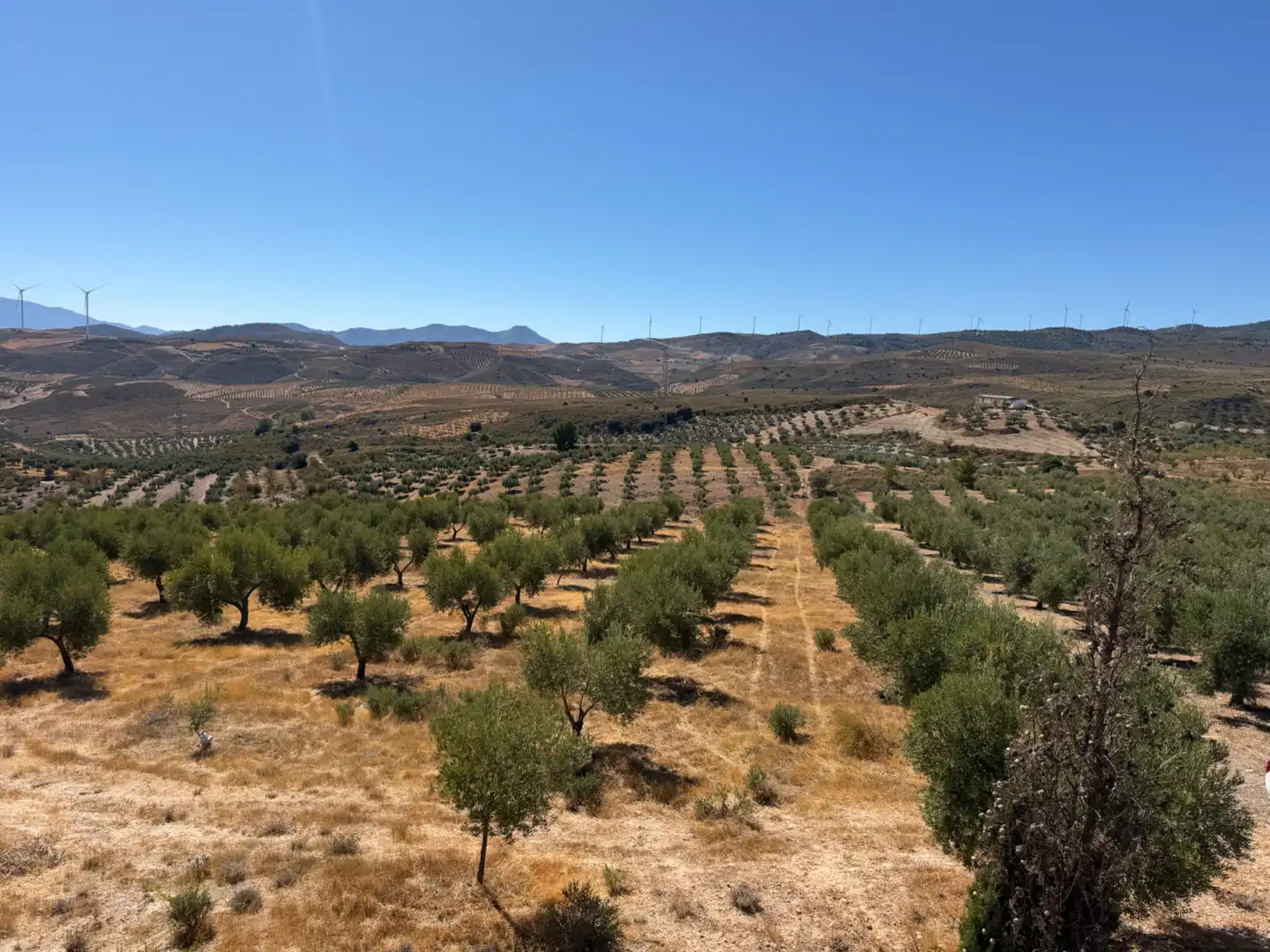 Terreno rustico in vendita a Camino de la Sierra, imagen 3