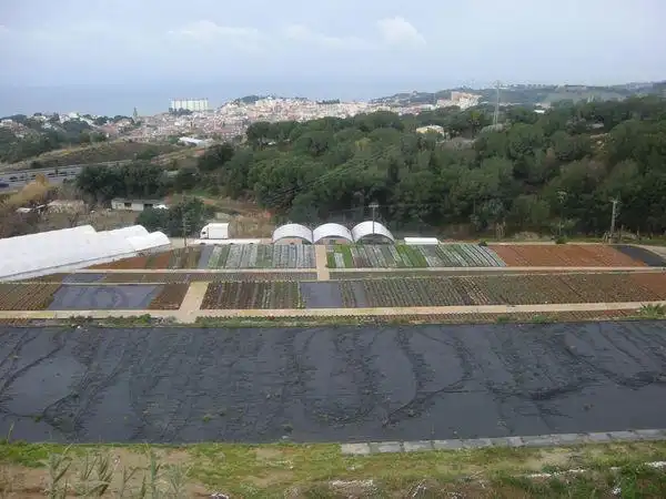 Terrenos y solares en venta en Sant Cebrià de Vallalta, imagen 7