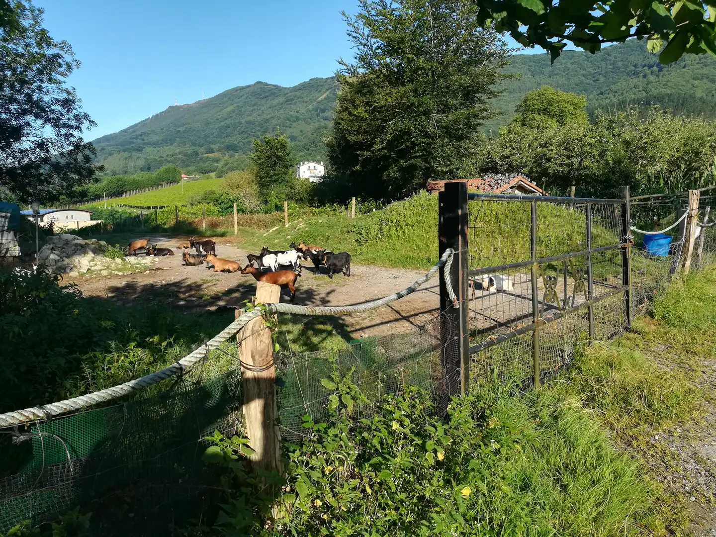 Terreno en venta en Jaitzubia Auzoa, 69, Hondarribia
