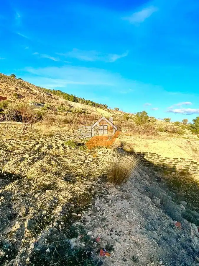 Residential land for sale in Vélez-Rubio, imagen 5