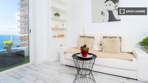 Photo 3 of Apartment to share in Triana, Las Palmas