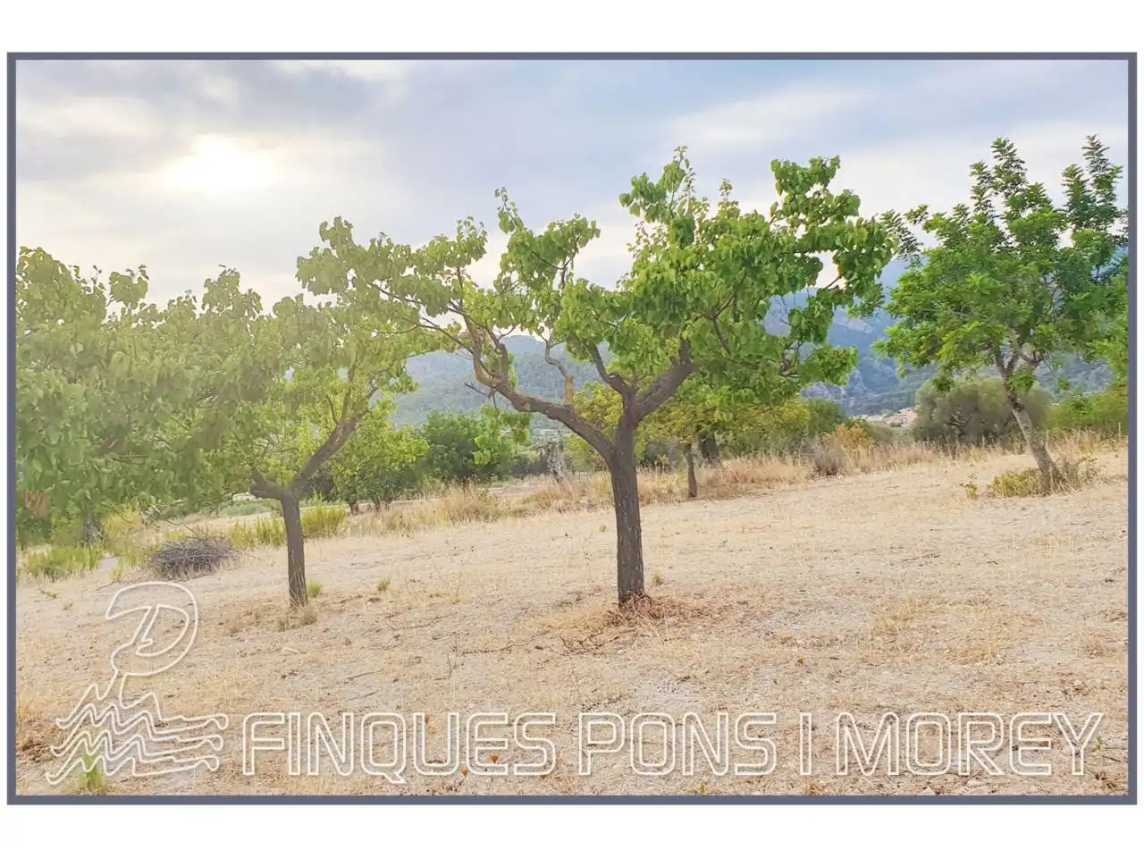 Terrain rustique à vendre à Poligono 16 sn, imagen 5