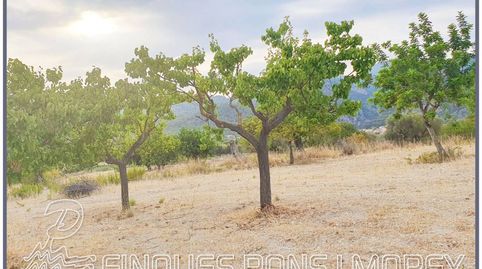 Terreno en venta en Selva, immagine 5