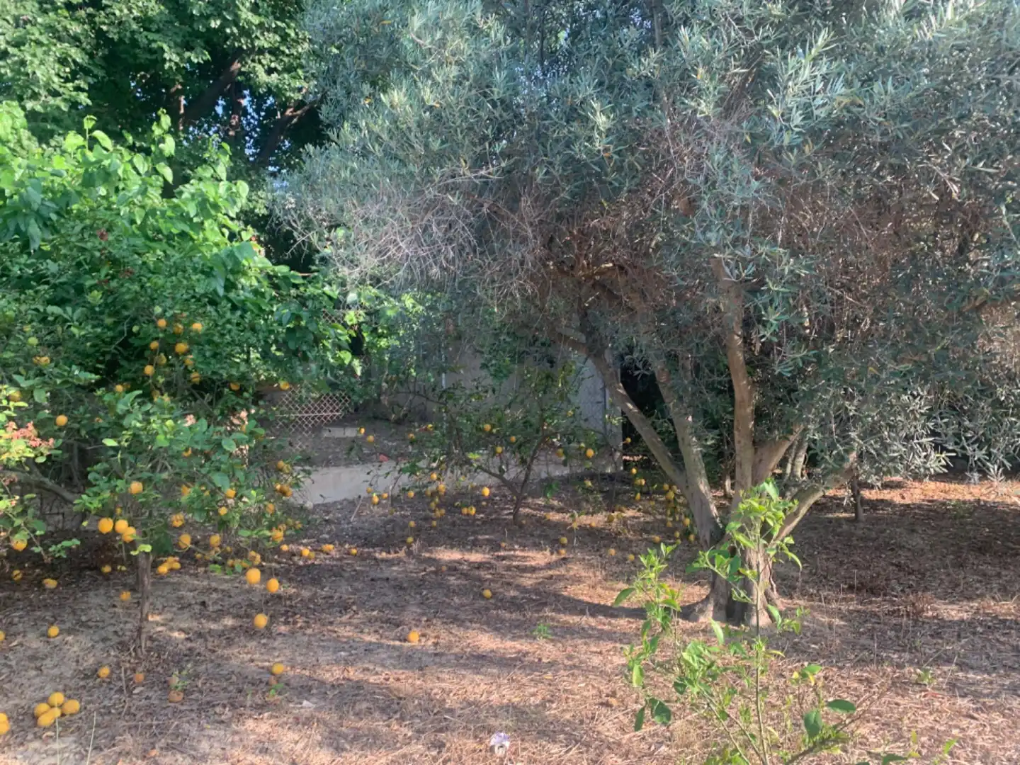 Finca rústica en venda a Alquerías