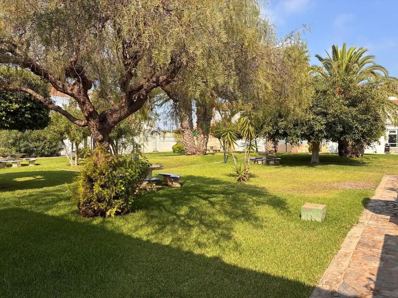 Garden of Apartments for sale in Orihuela Costa