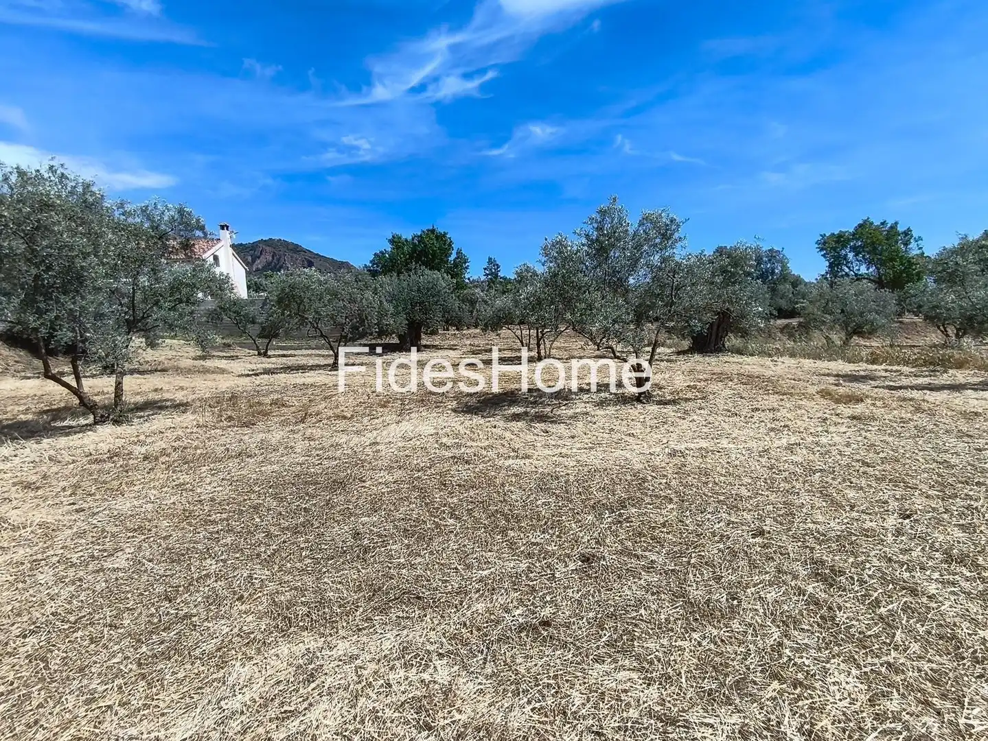 Rural land for sale in XFJ3+526 Nigüelas 0, imagen 19