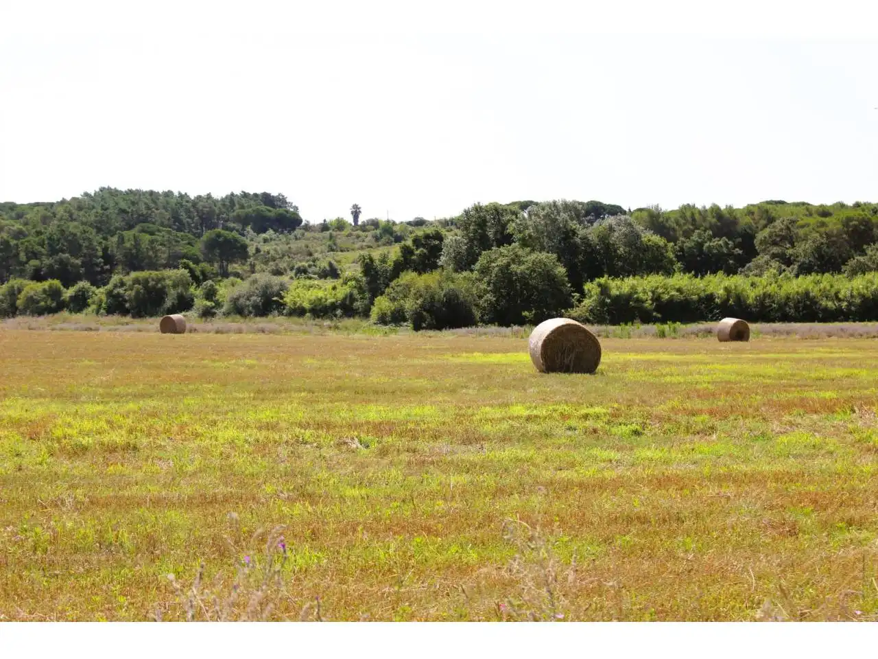 Residential land for sale in Niàgara Parc - Àgora Parc, imagen 14