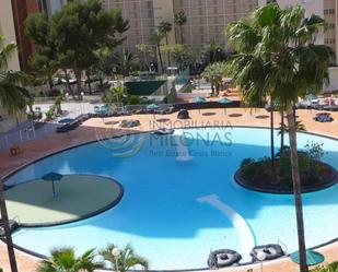 Piscina de Apartament en venda en Benidorm amb Parquet, Terrassa i Piscina comunitària