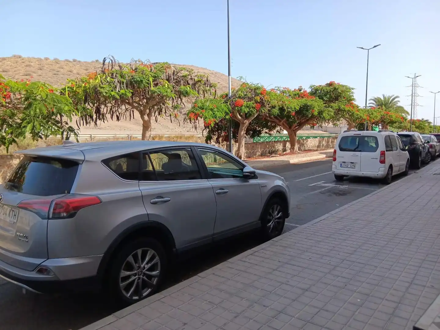 Exterior view of Detached homes for sale in Mogán  with Furnished