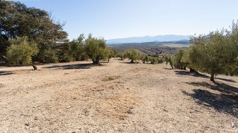 Photo 2 of Land for sale in Poligono 2 Parcela 276 y 409, Campotéjar, Granada