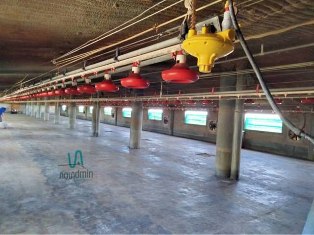 Nave industrial en Venta en Carrer Camí Estació en El Poal