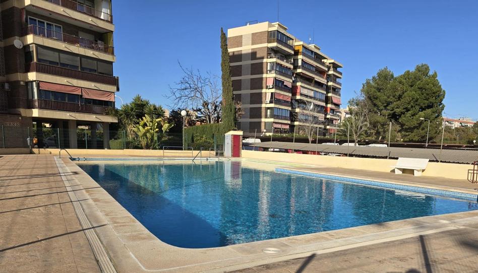 Foto 1 de Piso de alquiler en  Sacerdote Isidro Albert, 1, Benisaudet, Alicante
