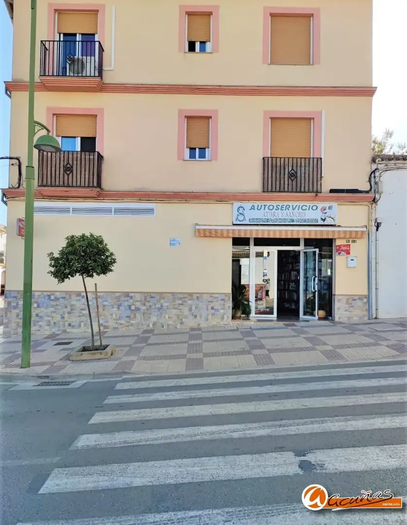 Geschaftsraum zum Verkauf in Villanueva de Algaidas