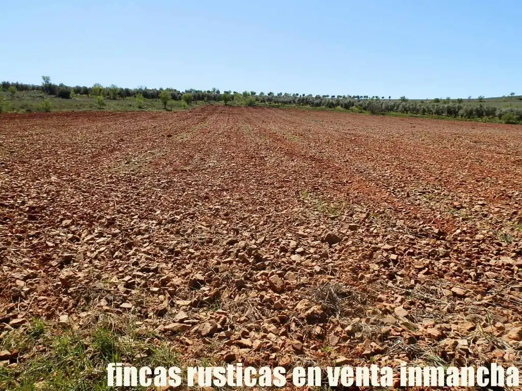 Rural land for sale in Valdepeñas, imagen 19