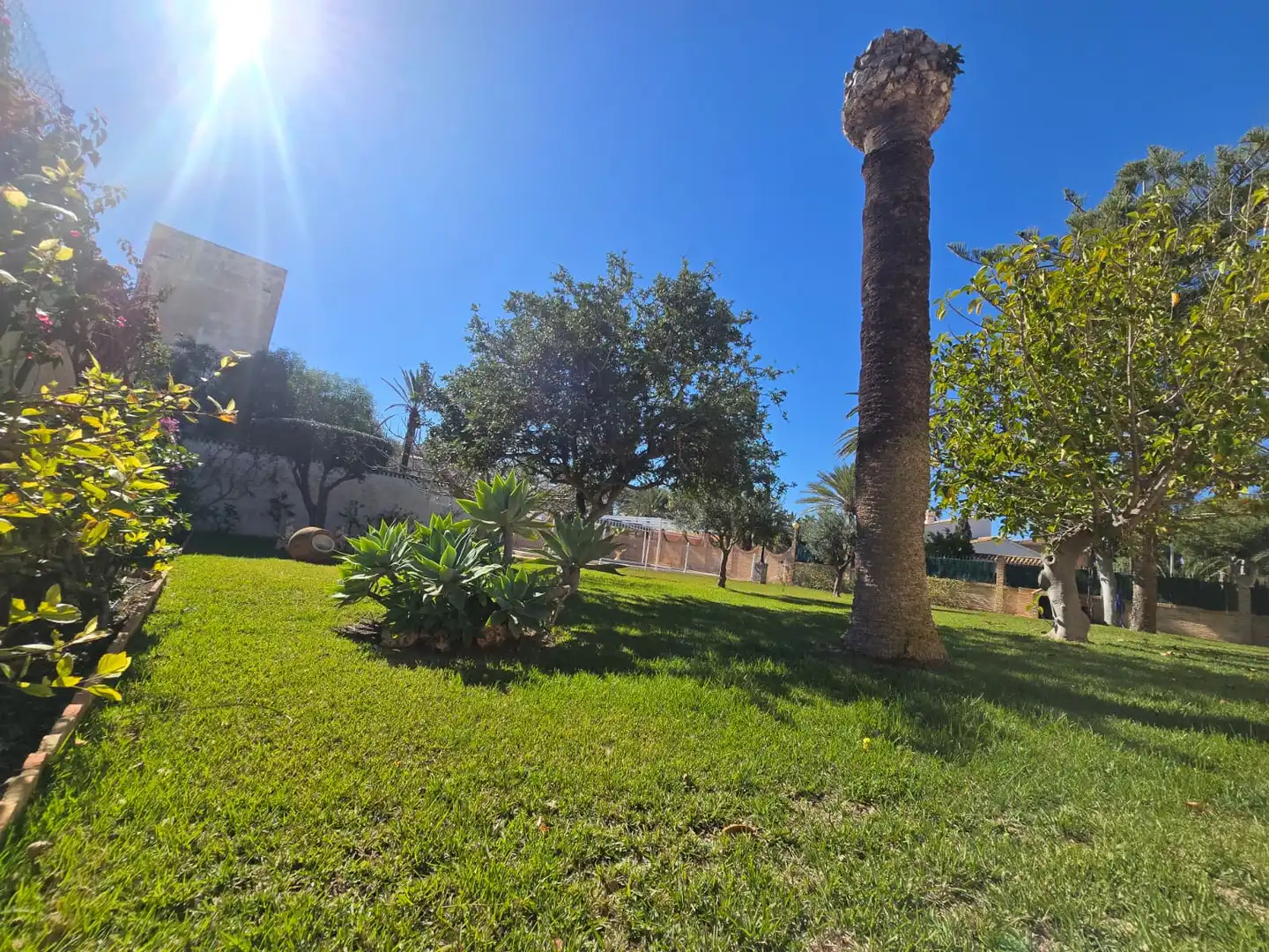 Jardí de Casa o xalet en venda en Orihuela amb Aire condicionat, Calefacció i Jardí privat