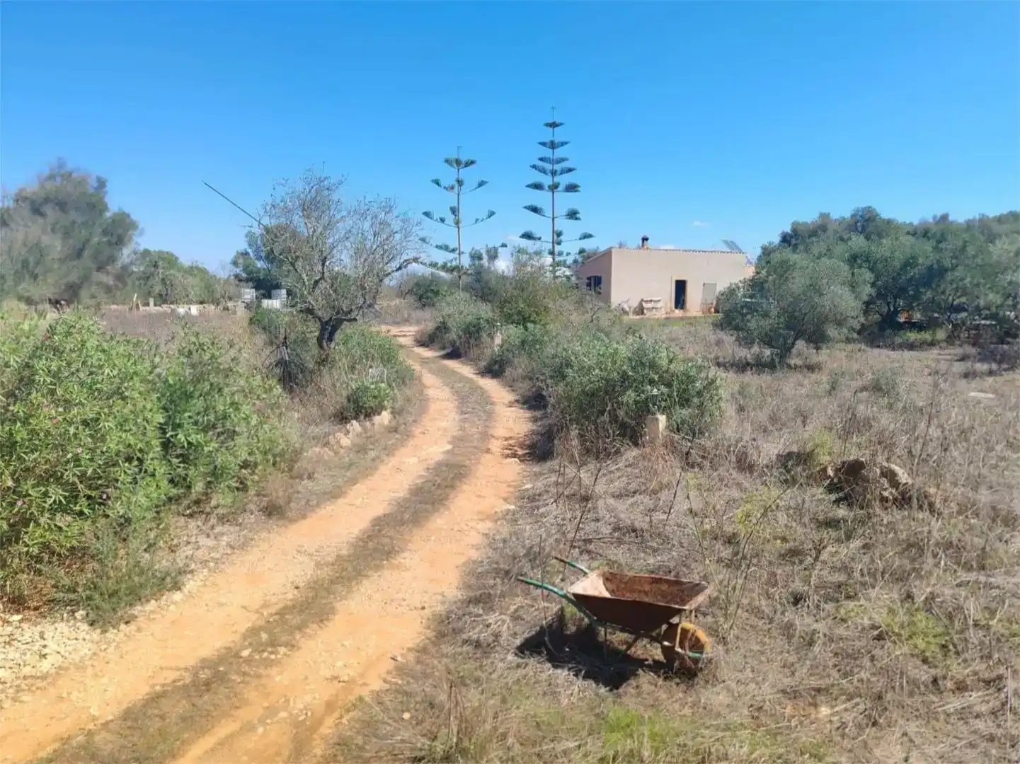 Pis en venda en Ses Salines amb Balcó