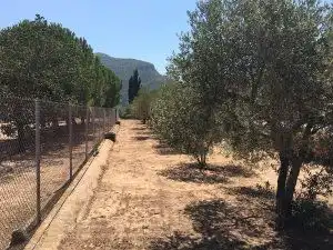 Nau industrial en venda en La Riba