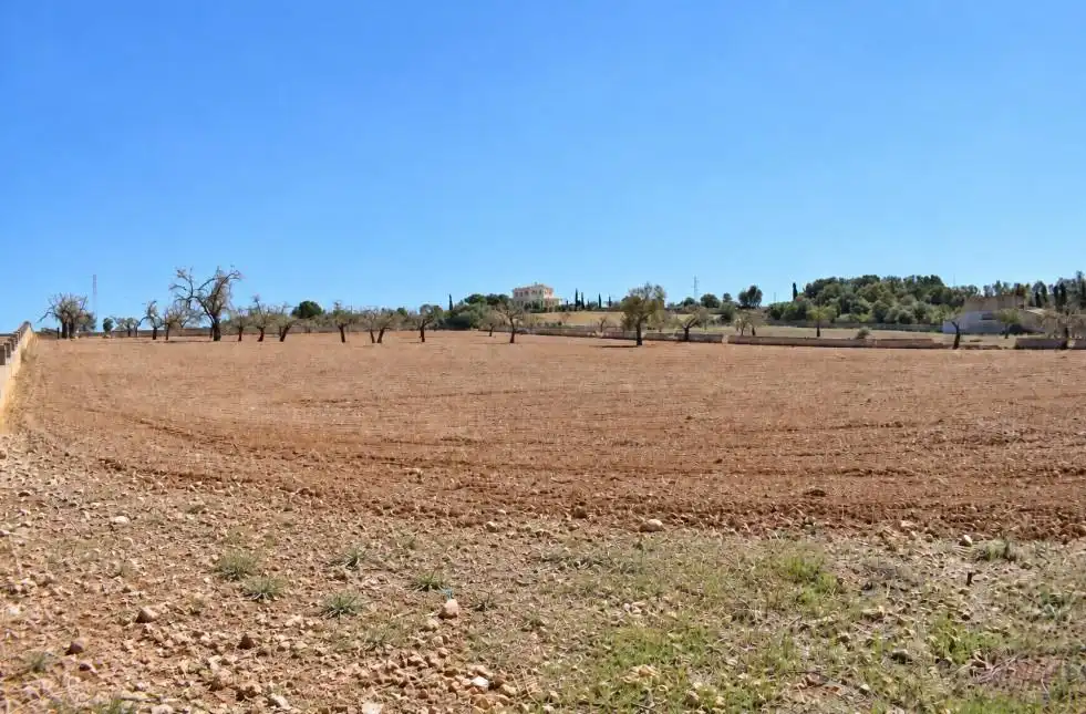 Terreny residencial en venda a Ariany, imagen 2