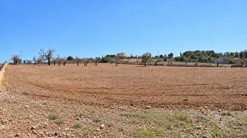 Photo 2 of Country homes for sale in Ariany, Illes Balears