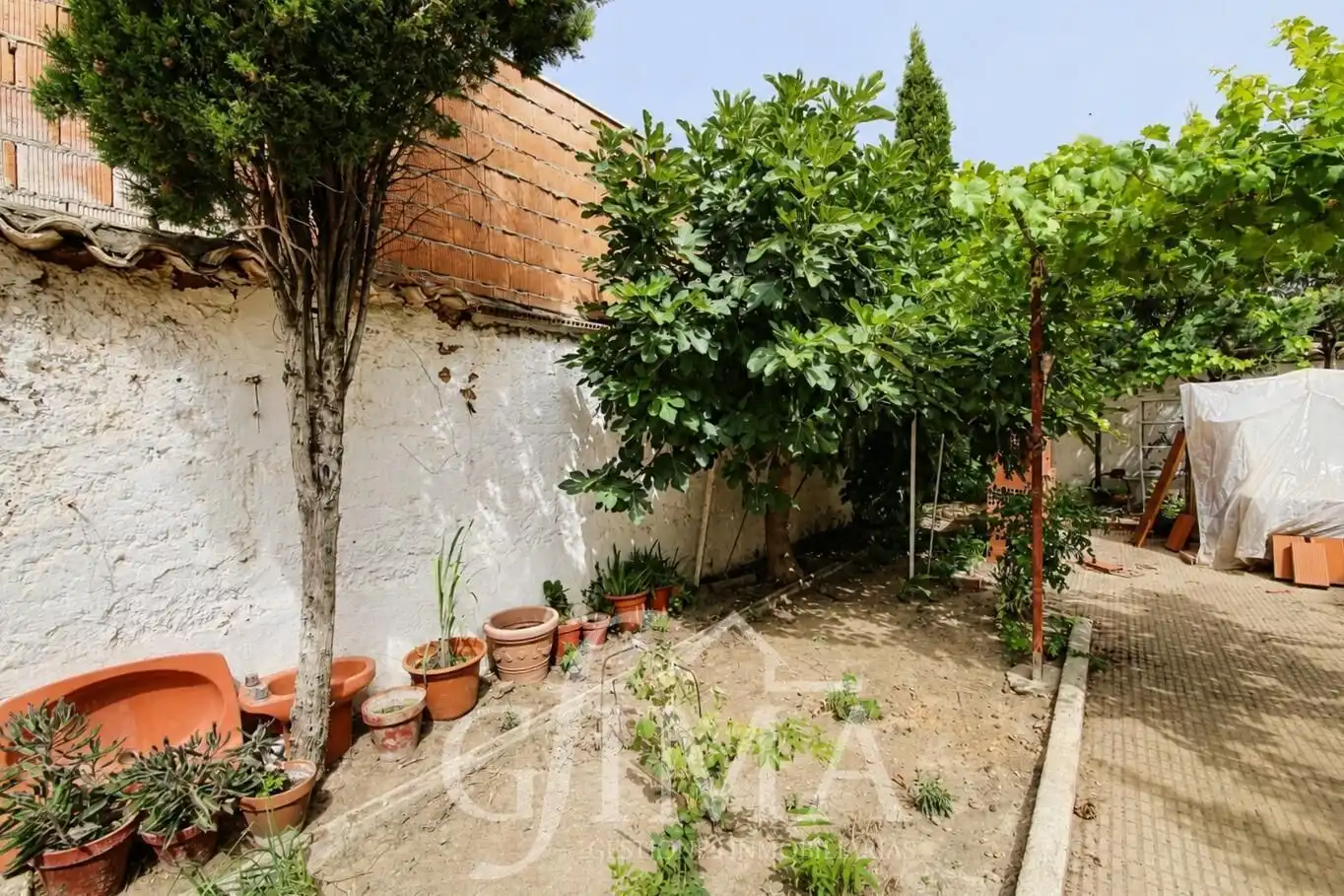 Jardín de Casa o chalet en venta en Tomelloso con Trastero