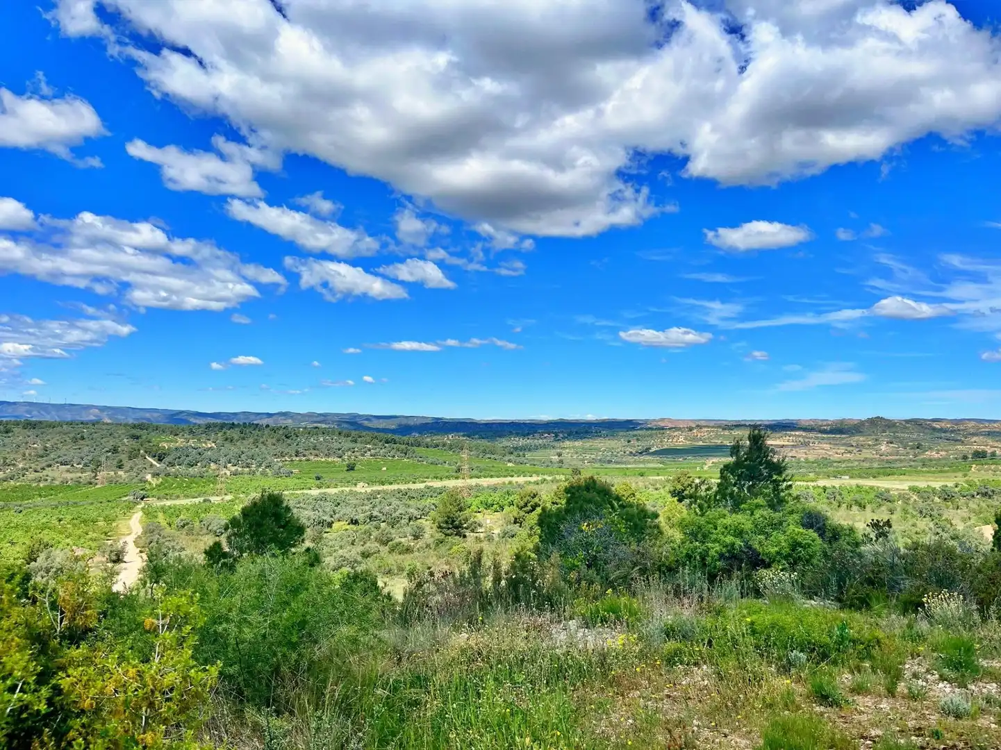 Houses for sale in Flix