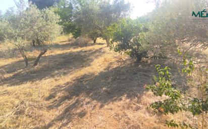 Finca rústica en venda en Carmona amb Aire condicionat i Piscina