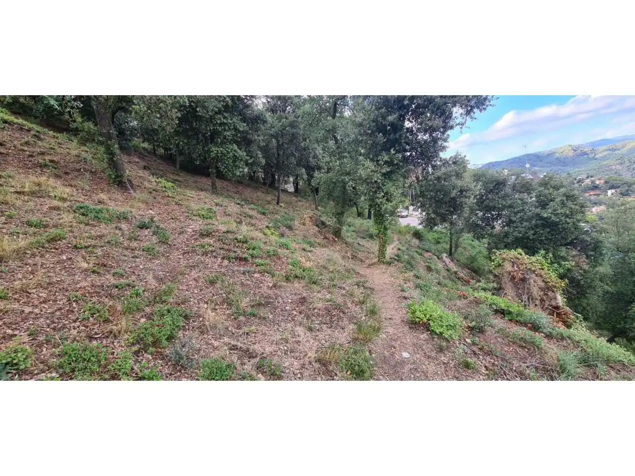 Terreny rústic en venda a Calle Serra de Sant Feliu, imagen 4