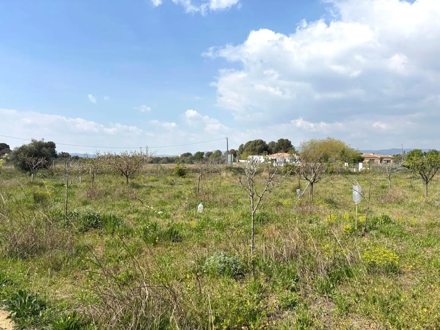 Rural land for sale in Santa Oliva, imagen 10
