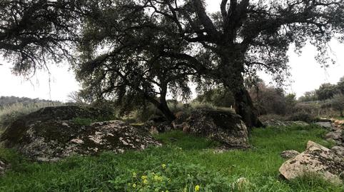 Foto 4 de Terreno en venta en Montánchez, Cáceres