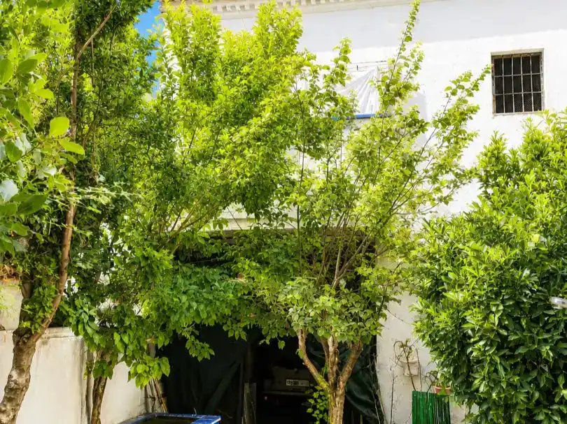 Jardí de Casa adosada en venda en Pinos Puente amb Balcó