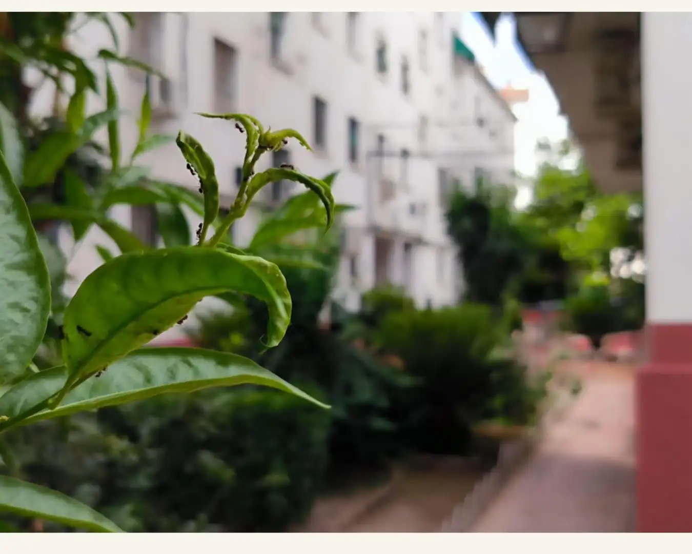 Flat with terrace for sale in Centro, imagen 3