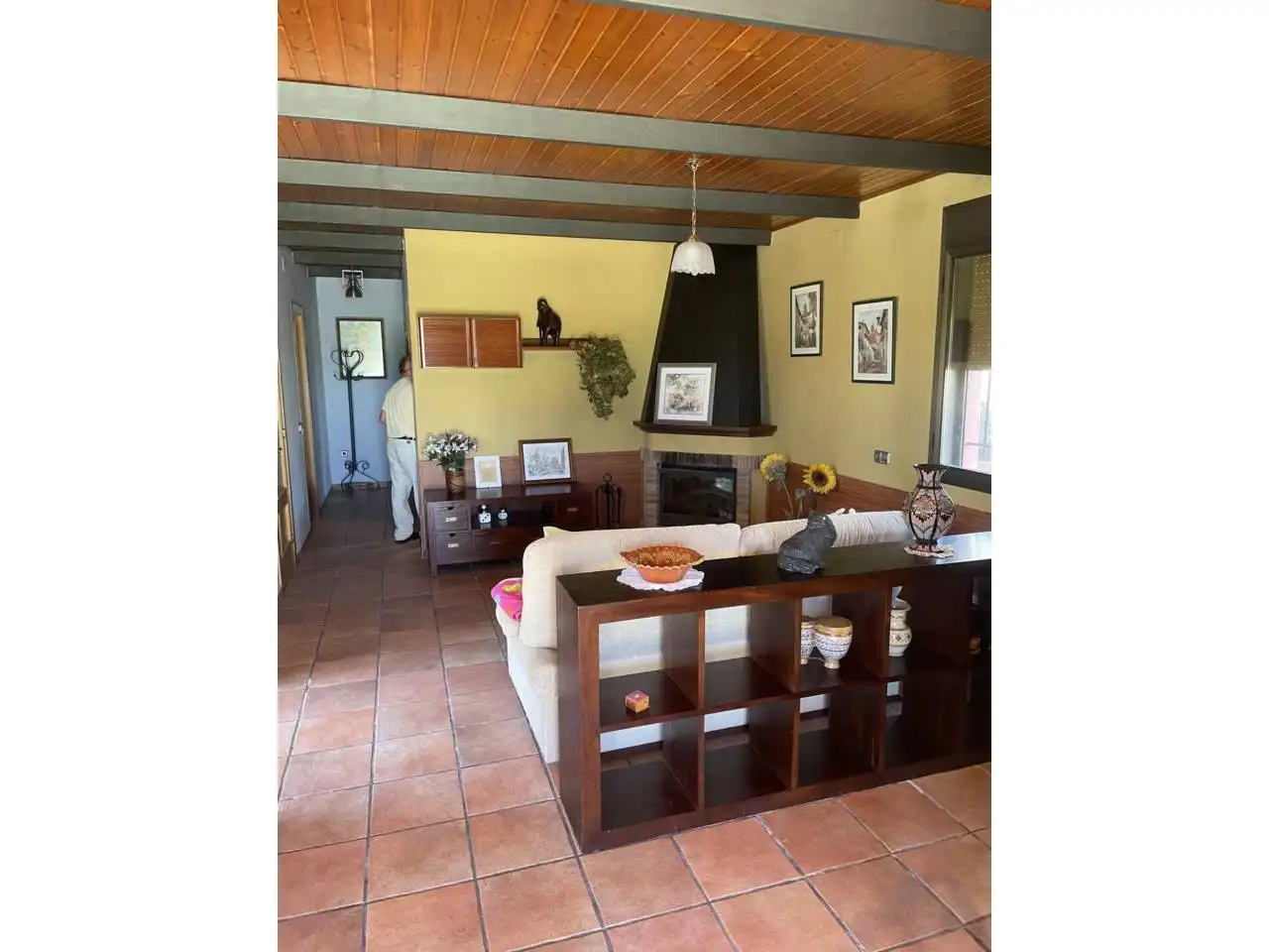 Sala de estar de Casa o chalet en venta en Móra d'Ebre con Aire acondicionado, Calefacción y Jardín privado