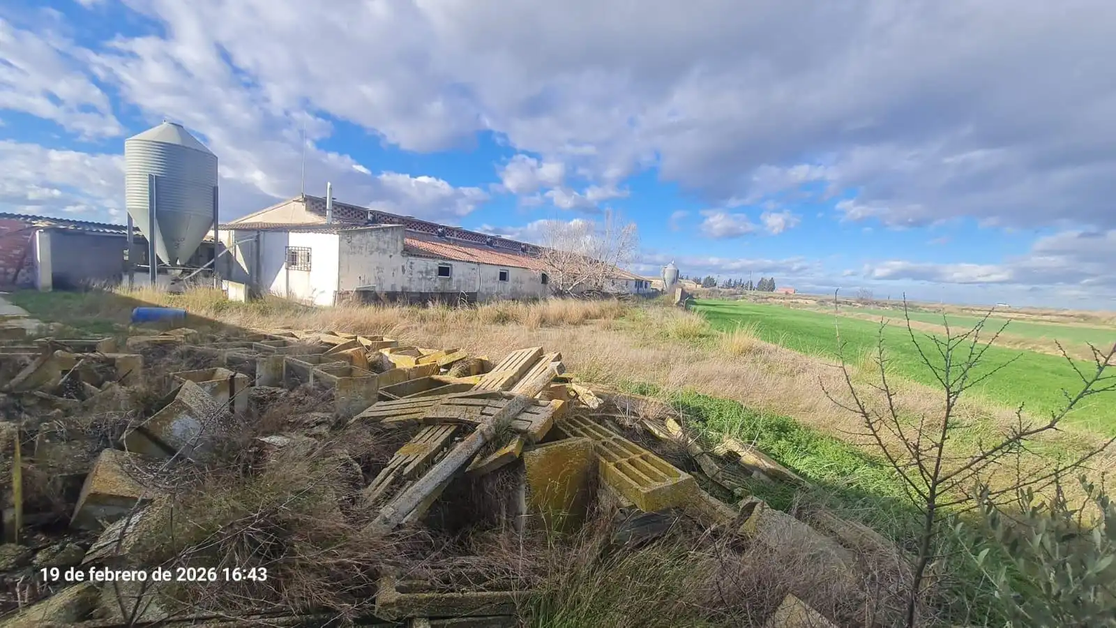 Land for sale in Tauste